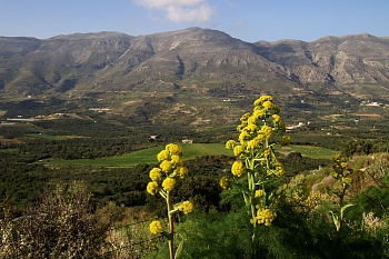 070320-sfinari-PICT7848.jpg - 58373 Bytes