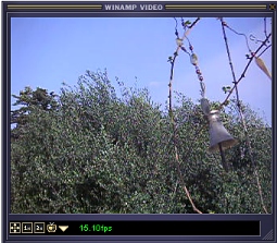 070404-storm-video-caption.jpg - 47012 Bytes