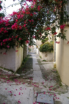 kalyves-alley-bougainville.jpg - 94731 Bytes