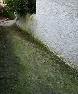 kalyves-alley-green.jpg - 66293 Bytes