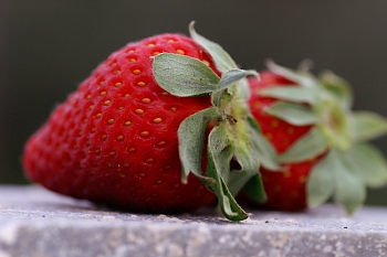 kalyves6-strawberry-PICT7682.jpg - 56377 Bytes