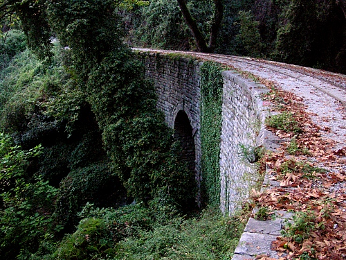 ...to the green curb and beyond...