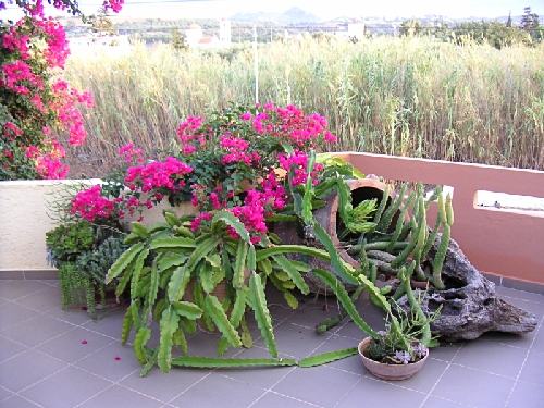 PICT0640.jpg - 228258 Bytes