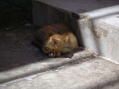 PICT0645.jpg - 172738 Bytes