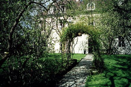 Museum of Montmartre - garden. It's located just above and to the side of the vinyard!