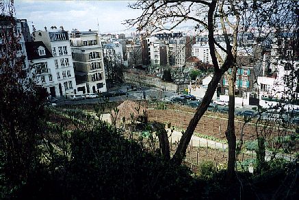 The one and only vinyard left within Paris!