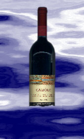 Cagilo 1993 in warm waters