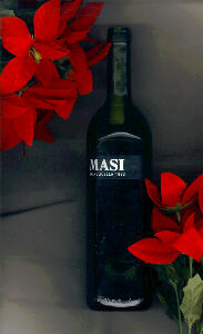 Valpolicella Classico MASI 1993