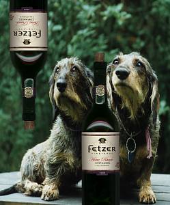 Fetzers & Dachsies