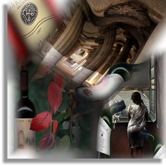 Organic wines presented on this site