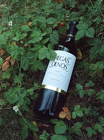 Skouras MEGAS OENOS 1999