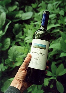 Skouras Saint George 1999